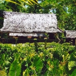 bwia-house
