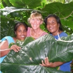 taro-leaf
